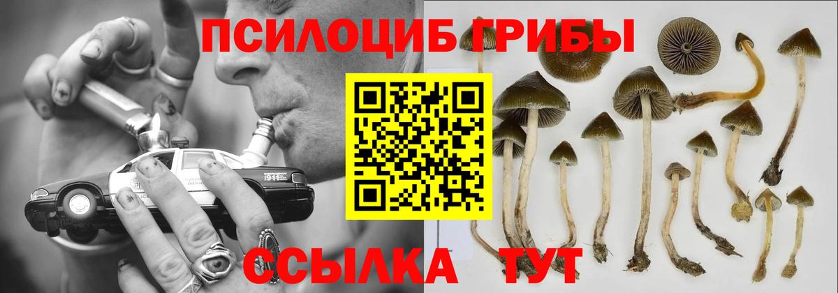 ГАШ Коряжма