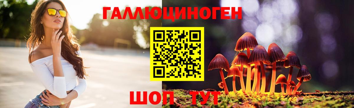 Коряжма  Псилоцибиновые грибы прущие грибы  Вход с VPN 